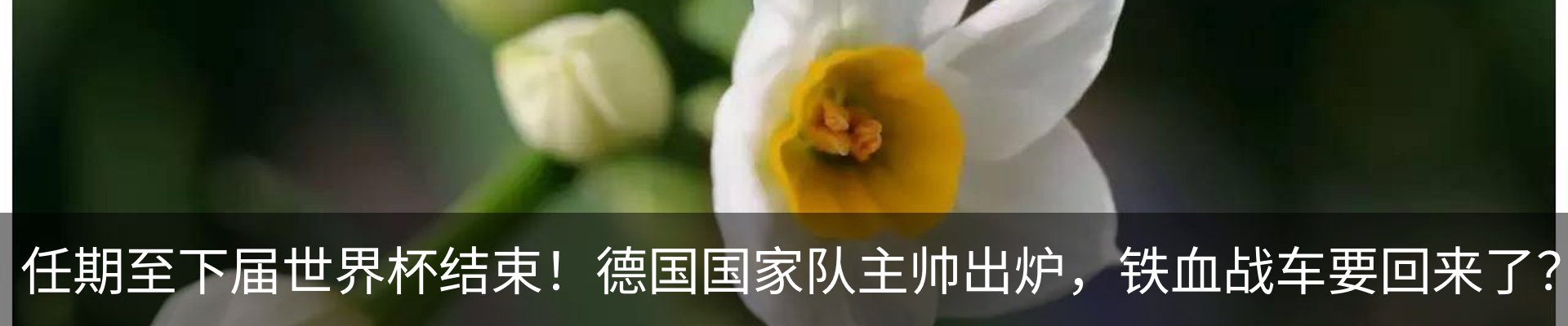 行业资讯