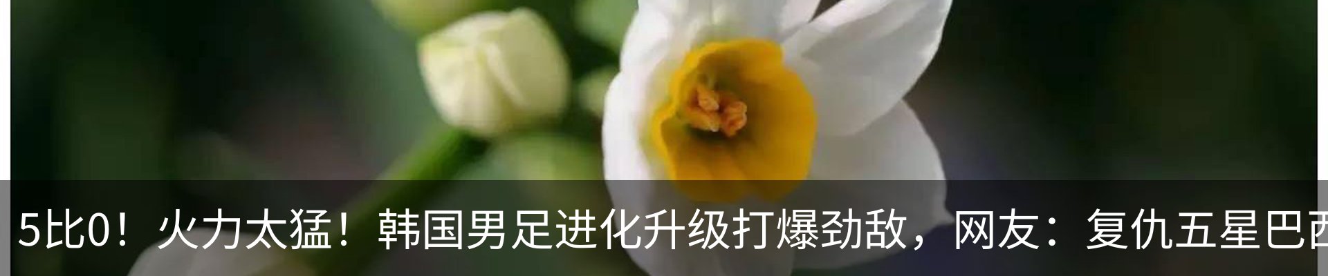 行业资讯