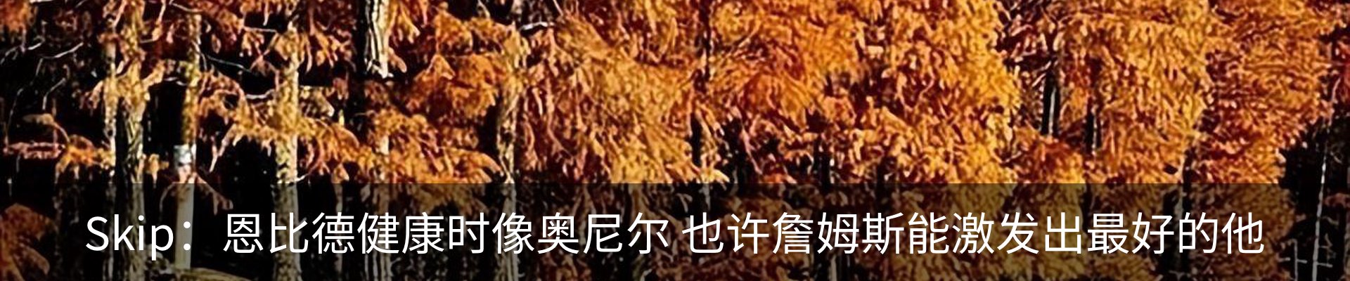 行业资讯